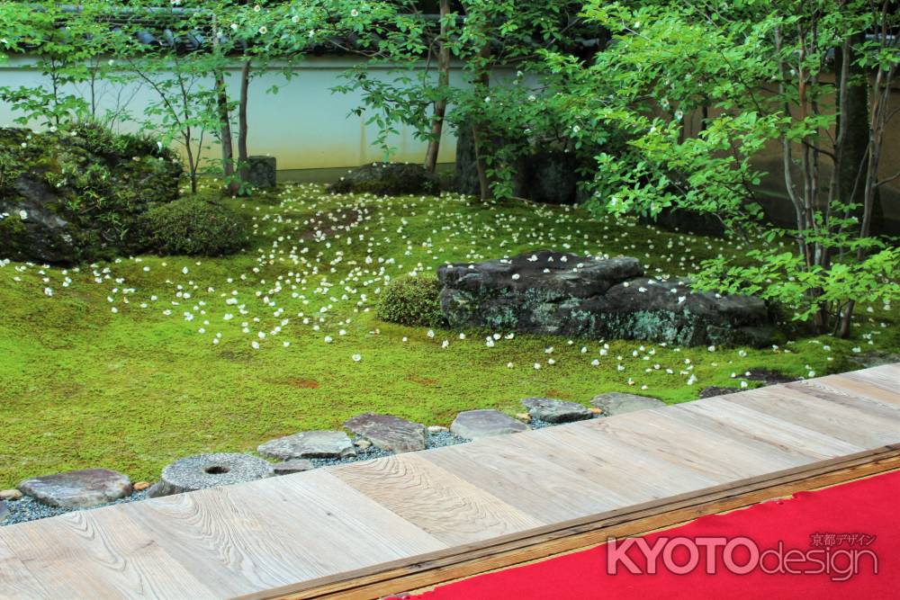 妙心寺東林院の沙羅双樹