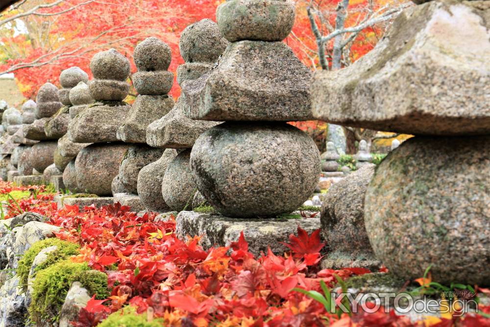 化野念仏寺紅葉2016