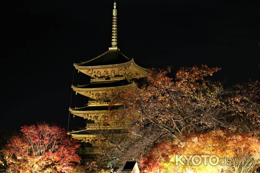 東寺紅葉、ライトアップ2016