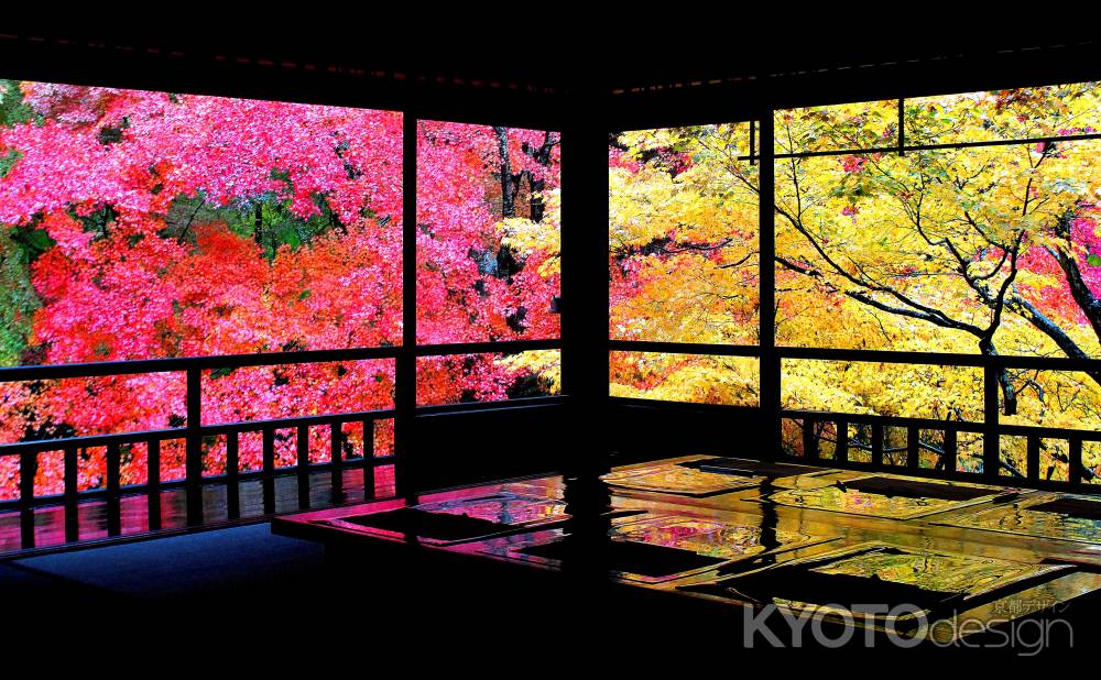 瑠璃光院の紅葉２