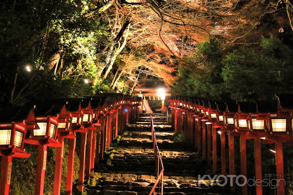 貴船神社の紅葉ライトアップ１