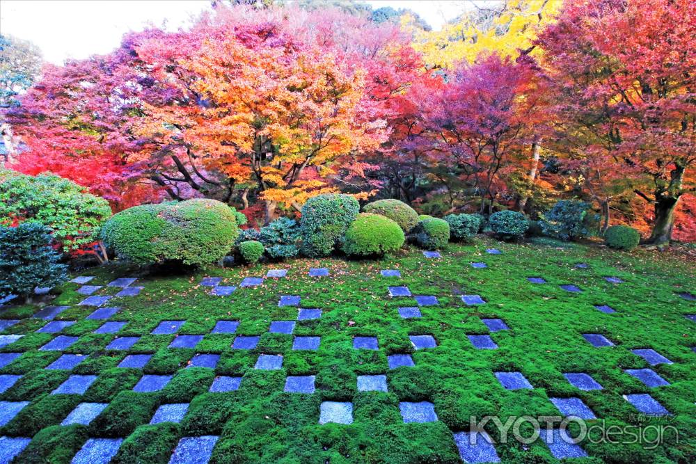 東福寺北庭の紅葉
