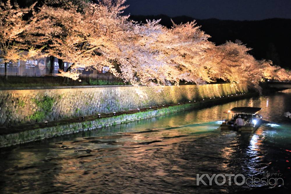 岡崎桜回廊ライトアップ2018