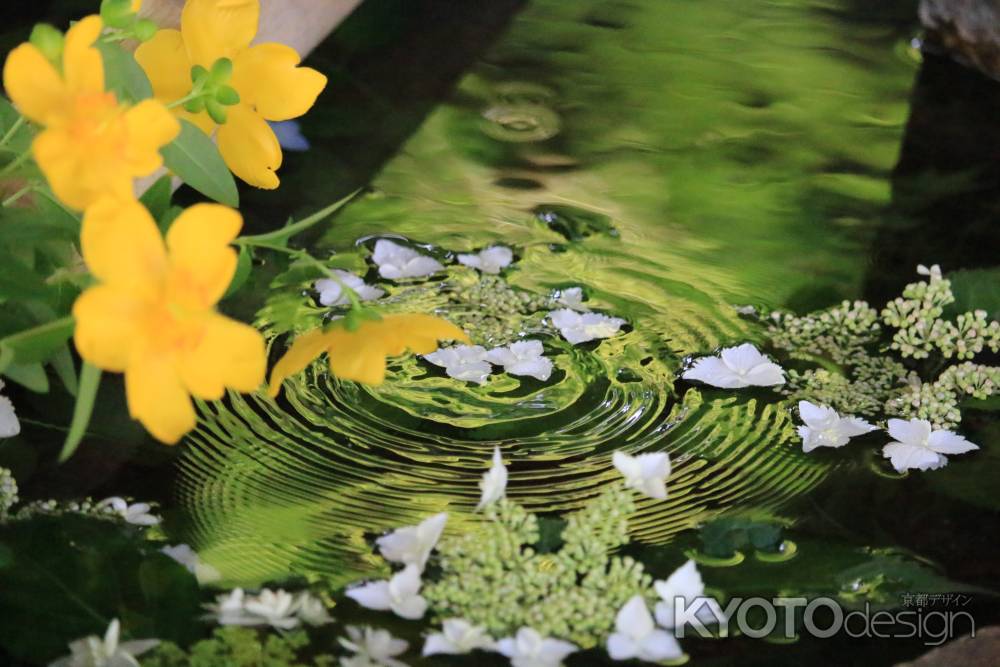 真如堂の手水鉢