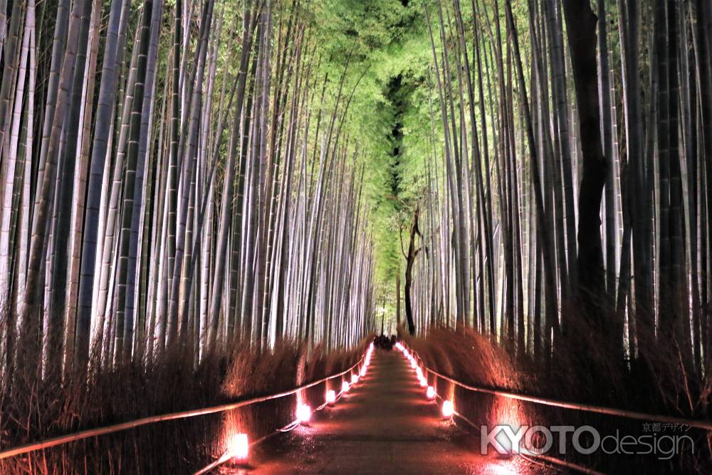 嵐山花灯路2018、竹林