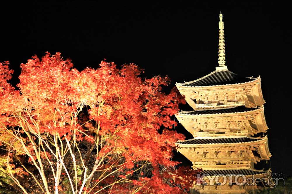 東寺ライトアップ2018秋