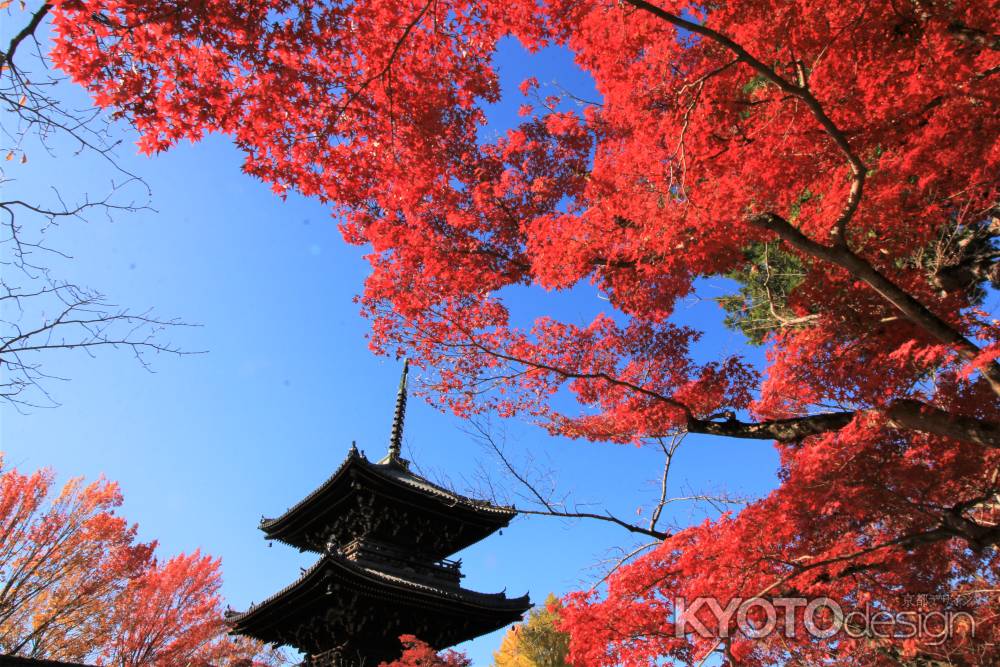 真如堂の紅葉2019