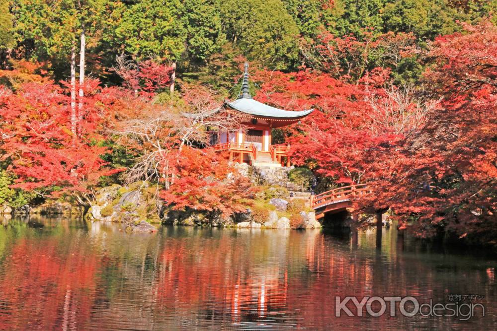 醍醐寺の紅葉2019