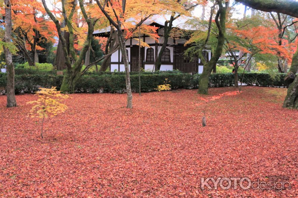 真如堂の紅葉2019-2