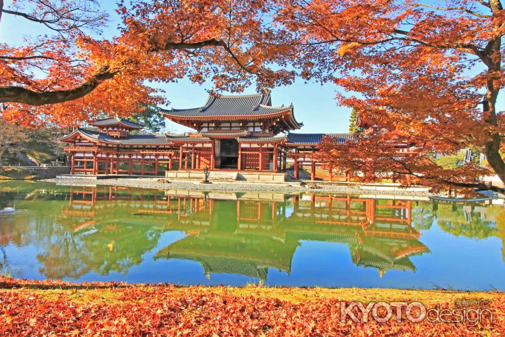 平等院の紅葉2019