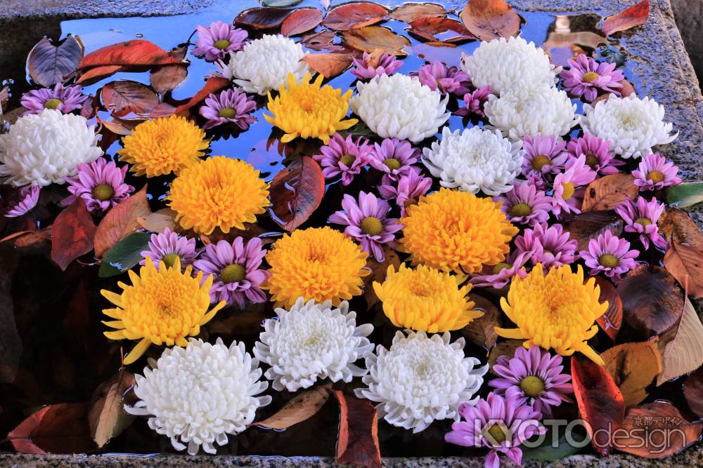 金戒光明寺、手水