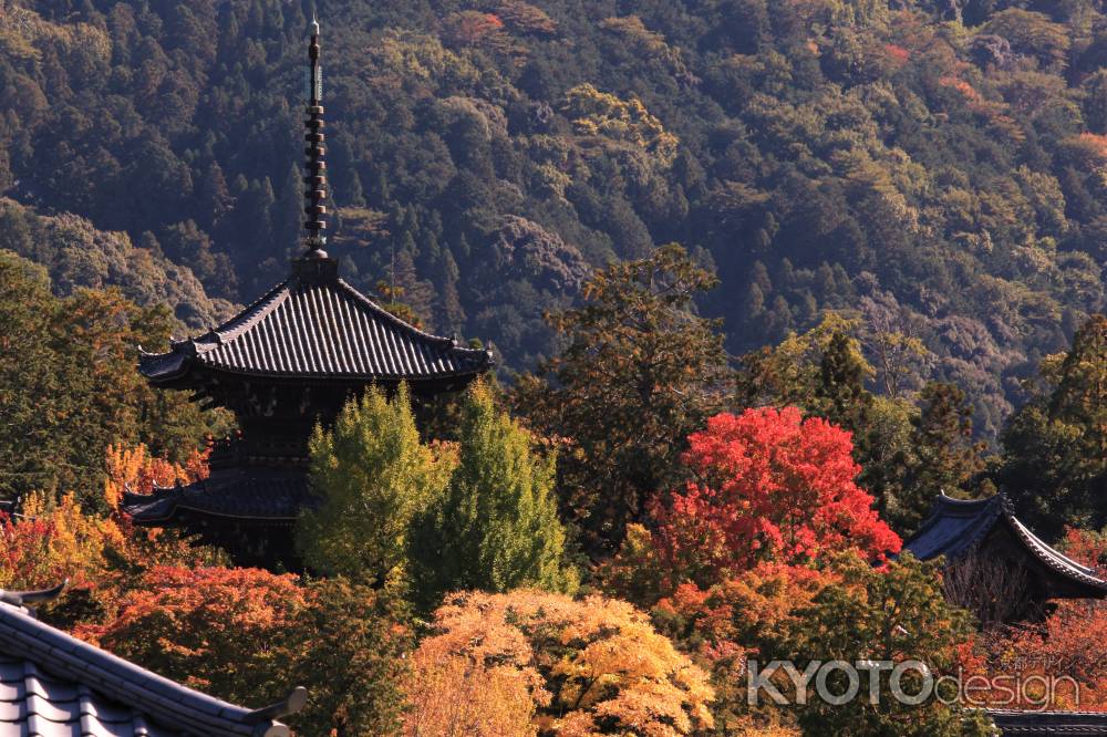 真如堂の色づき2020