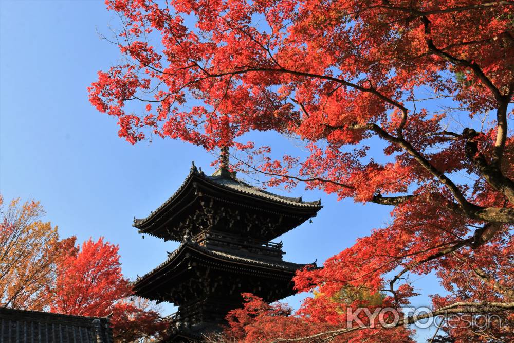 真如堂の紅葉2021