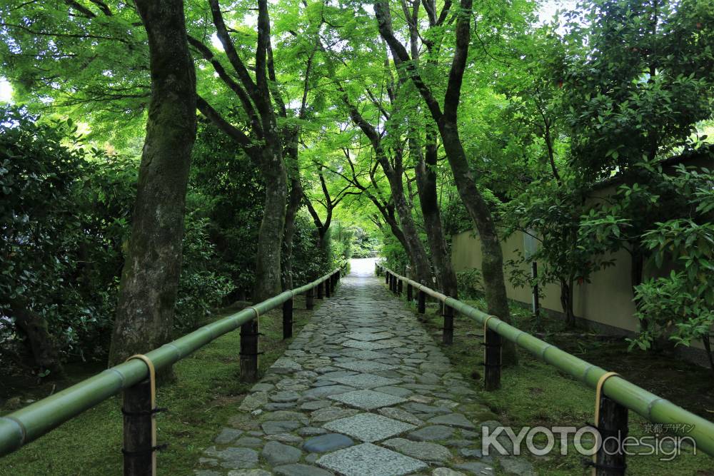 光悦寺の新緑2022