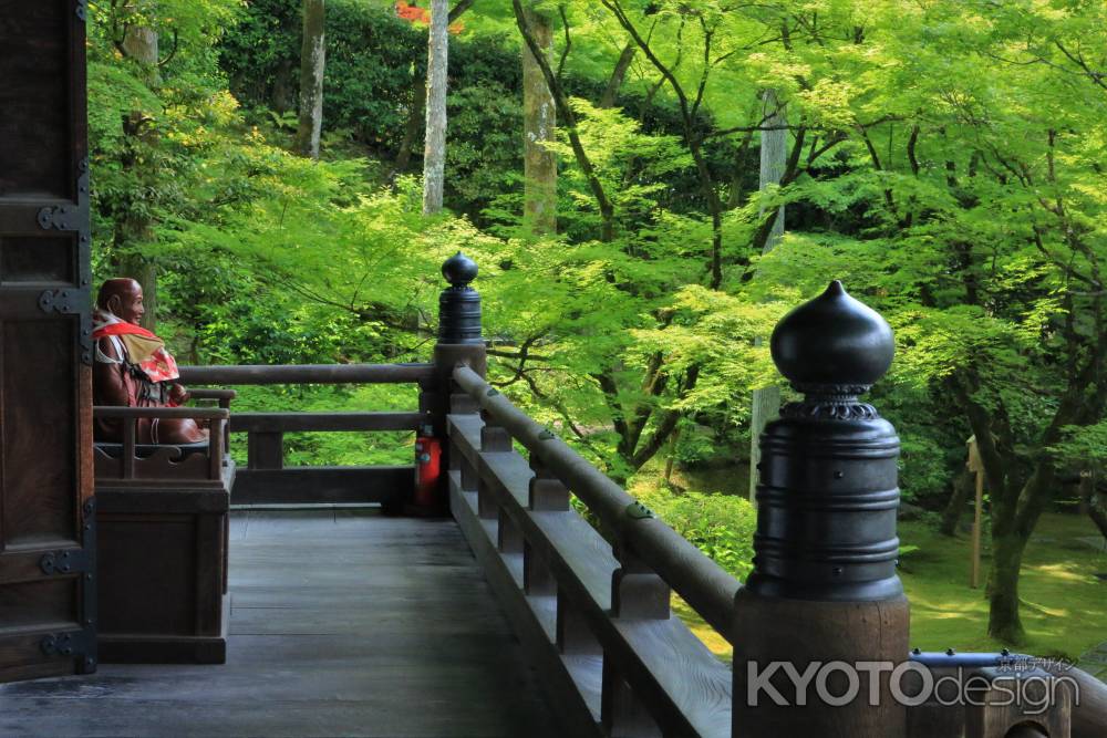 永観堂の新緑2022