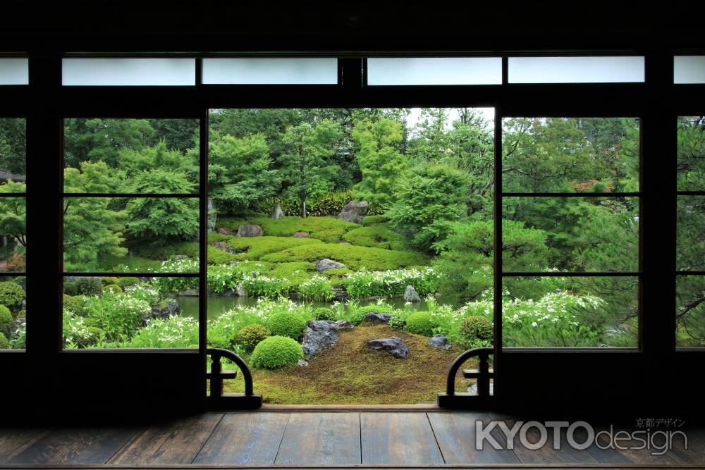 両足院の半夏生2022