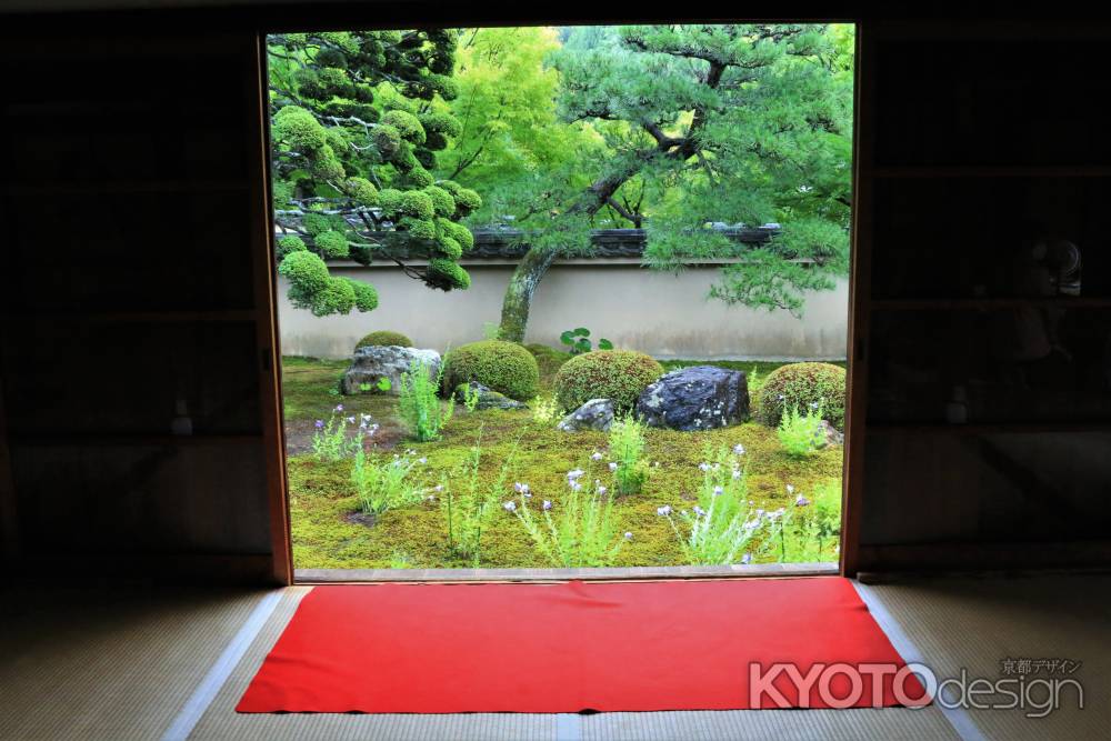 天得院の桔梗2022