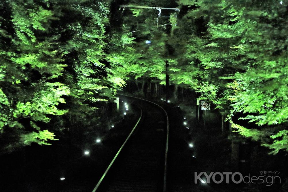 叡山電車、青もみじのライトアップ2022