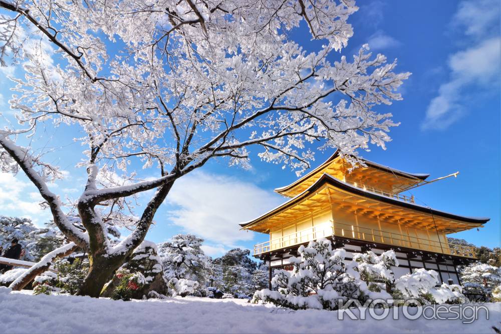 雪の金閣寺2023