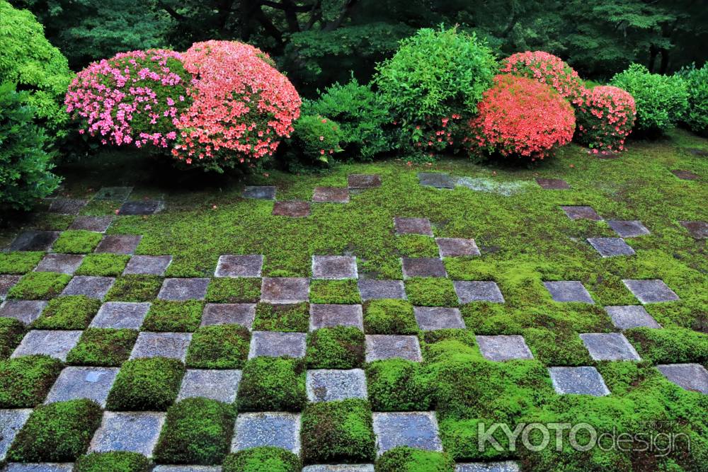 東福寺北庭のサツキ2023