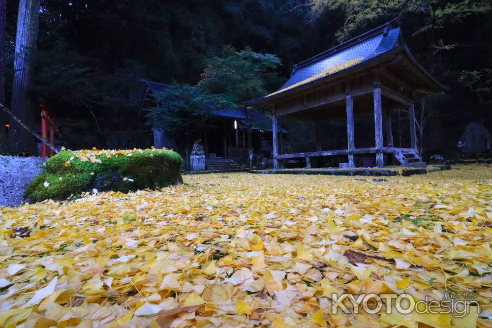 岩戸落葉神社の紅葉2023