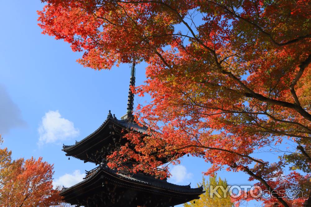 真如堂の紅葉2023