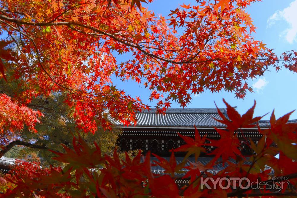 南禅寺の紅葉2023