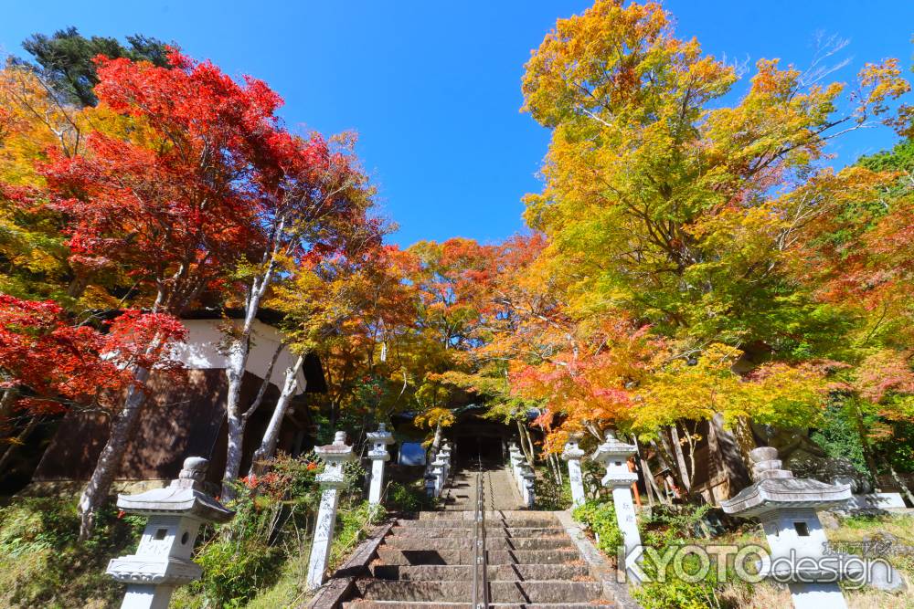 西光寺の紅葉2023