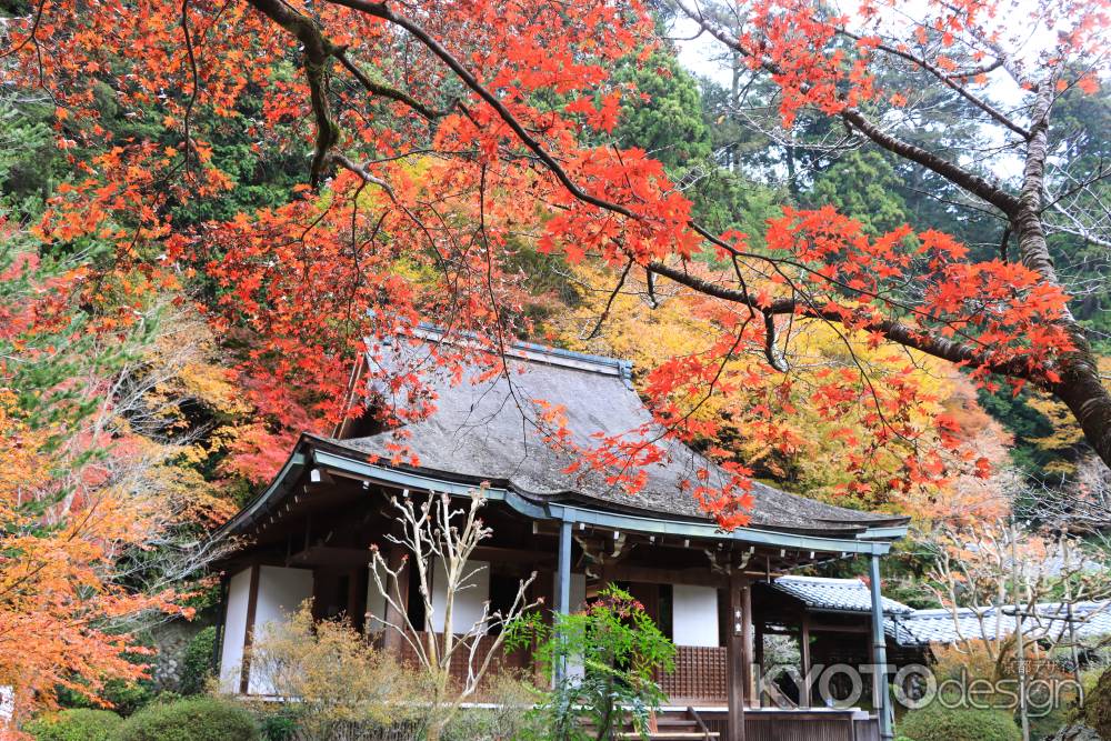 寂光院の紅葉2023