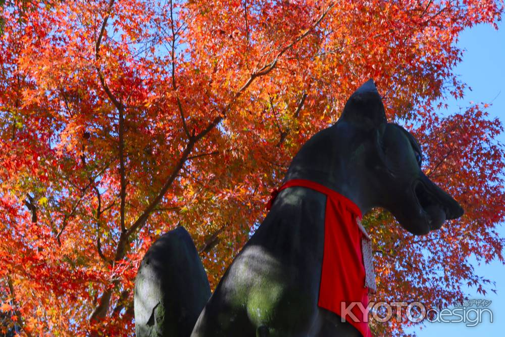 伏見稲荷大社の紅葉2023
