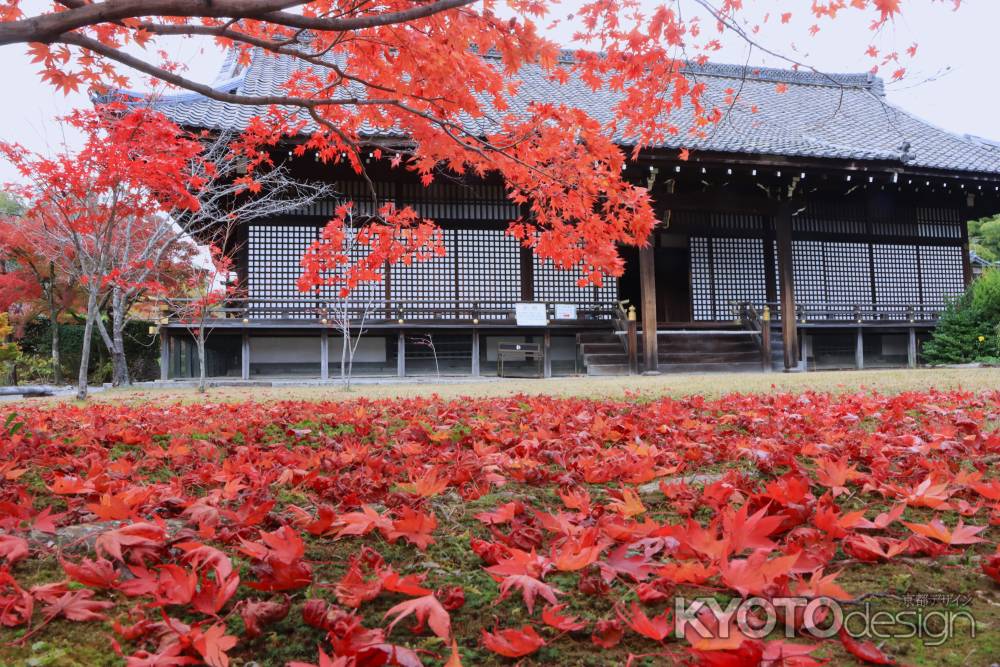 勧修寺の紅葉2023