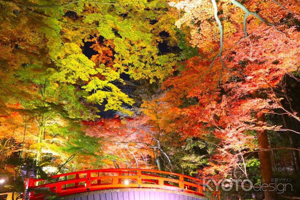 北野天満宮の紅葉ライトアップ2023