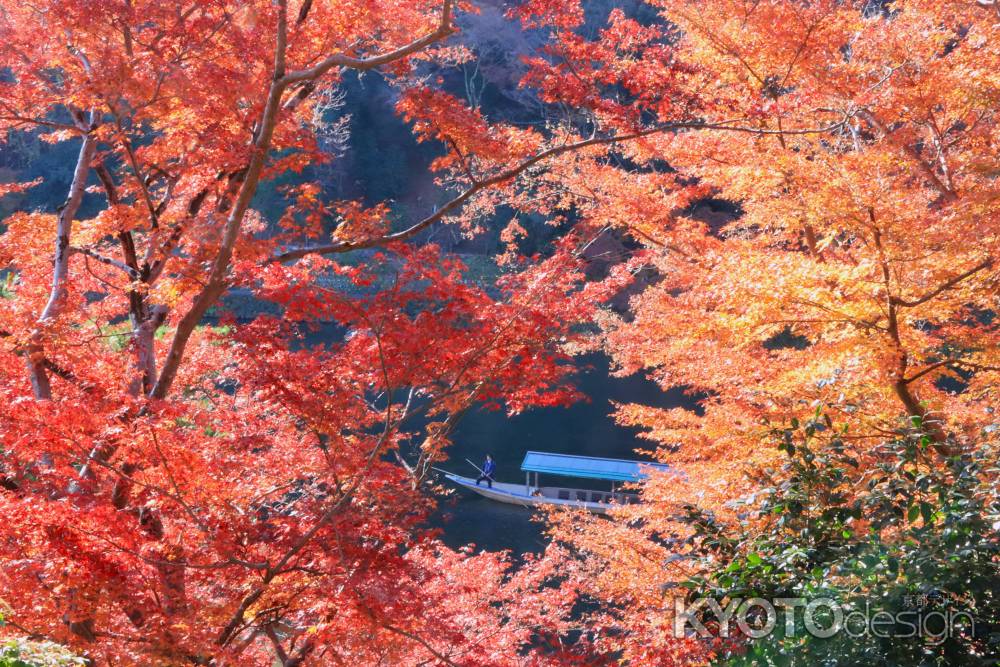 嵐山の紅葉2023