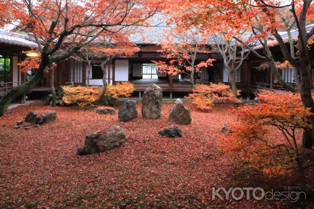 建仁寺の紅葉2023