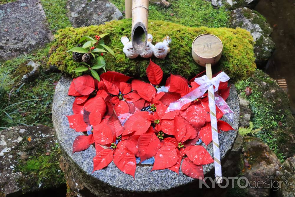 柳谷観音のクリスマス花手水2023