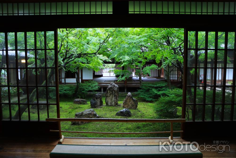 建仁寺潮音庭の新緑2024