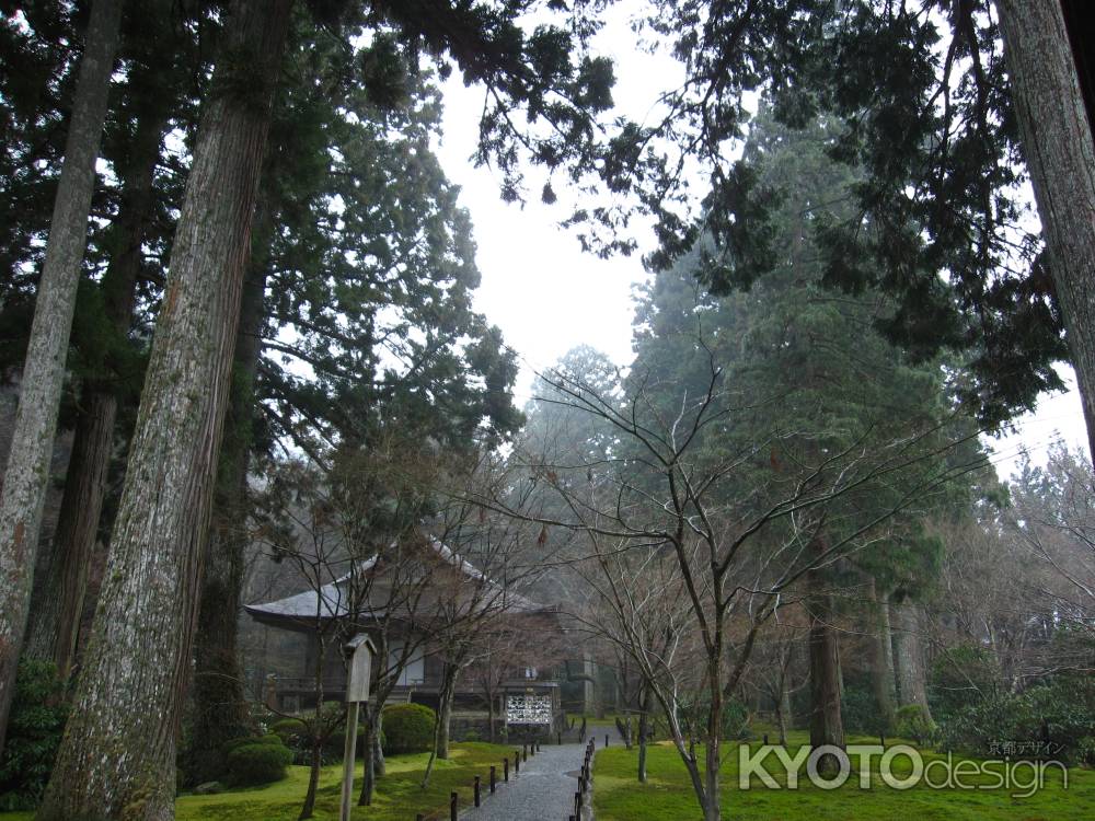 三千院　雨に濡れる木々