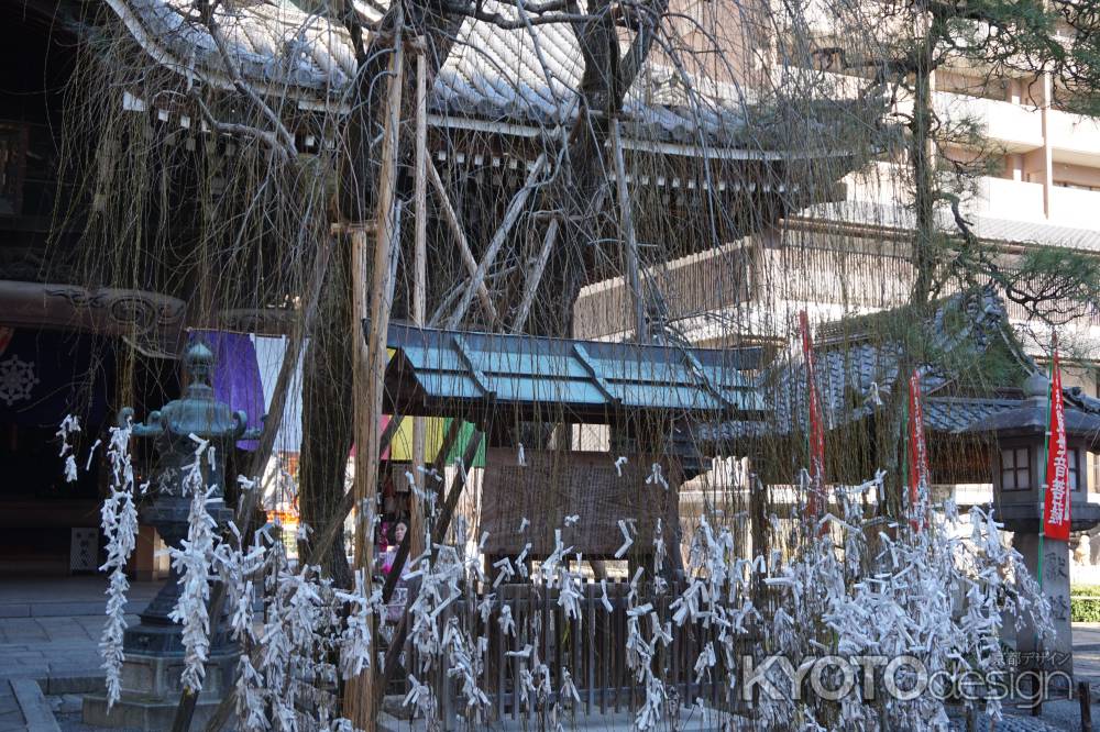 六角堂　柳とおみくじ