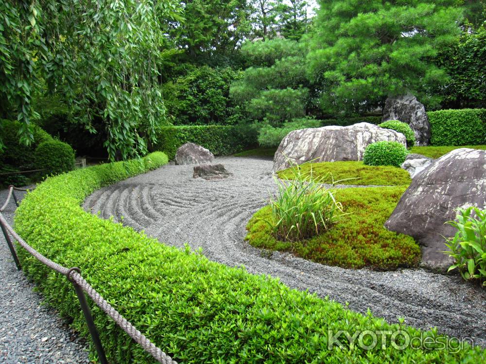 退蔵院　陰の庭