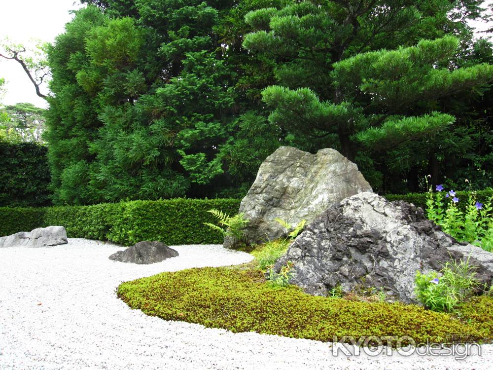 退蔵院　陽の庭