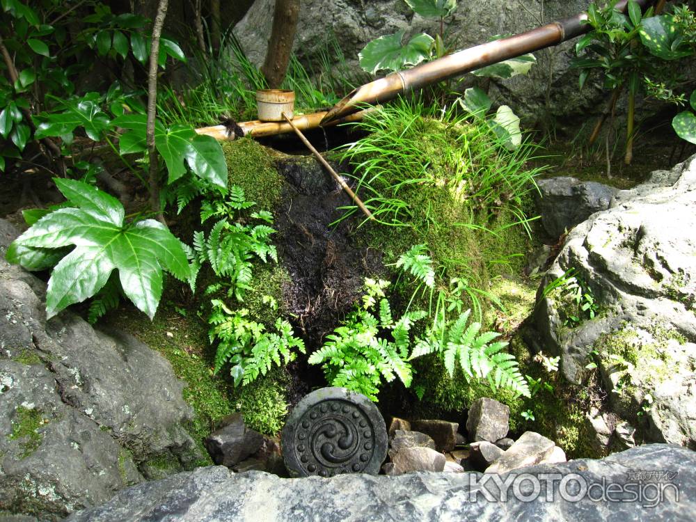 退蔵院の水琴窟