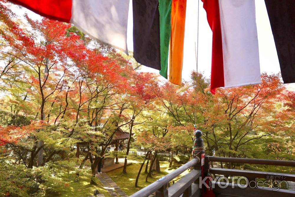 五式幕と紅葉　永観堂2022