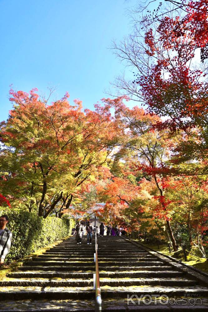 青空と参道と紅葉　永観堂2022