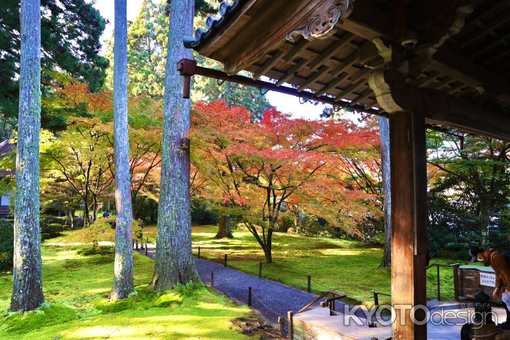 秋色　三千院　2022