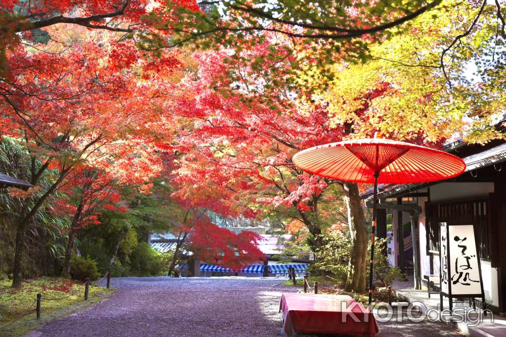 門前の紅葉　三千院2022