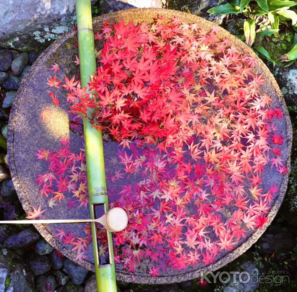 紅色手水鉢　圓光寺2022