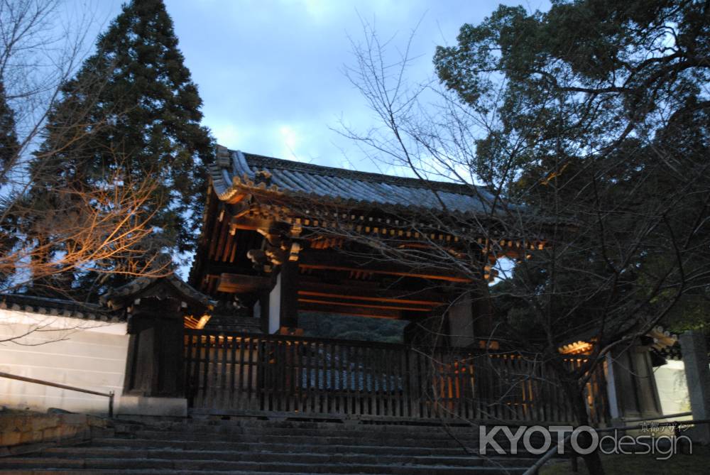 青蓮院ライトアップ