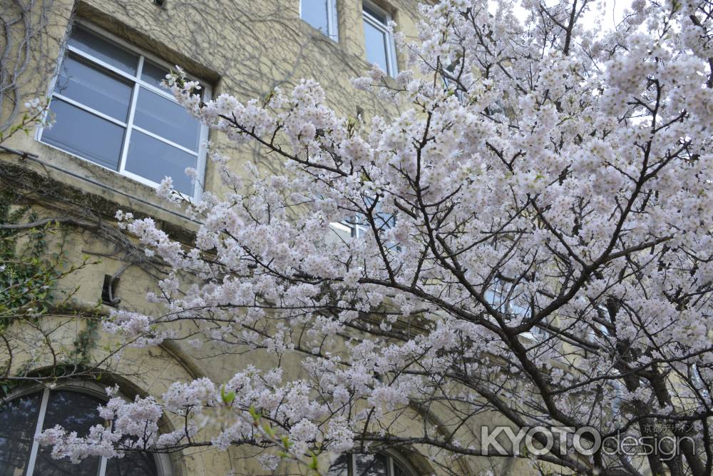 あふれるピンク