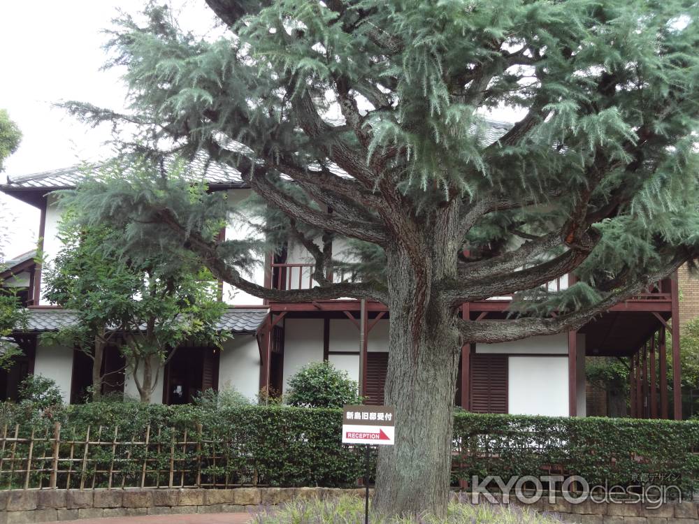 新島旧邸 木々の間から