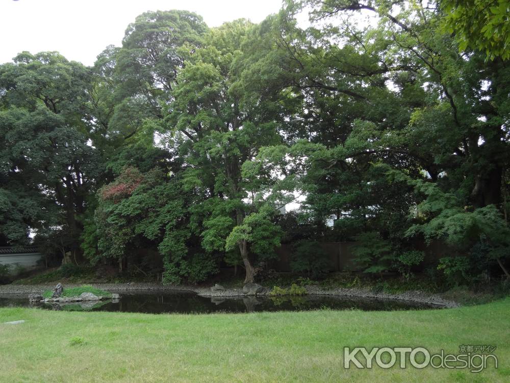 閑院宮邸跡　庭園と木々